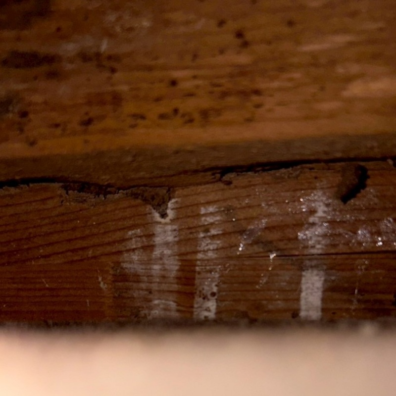 シロアリ駆除の施工事例（山口県熊毛郡平生町おわざ曽根）