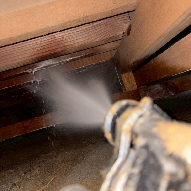 床下の木材にシロアリ駆除剤を散布する様子