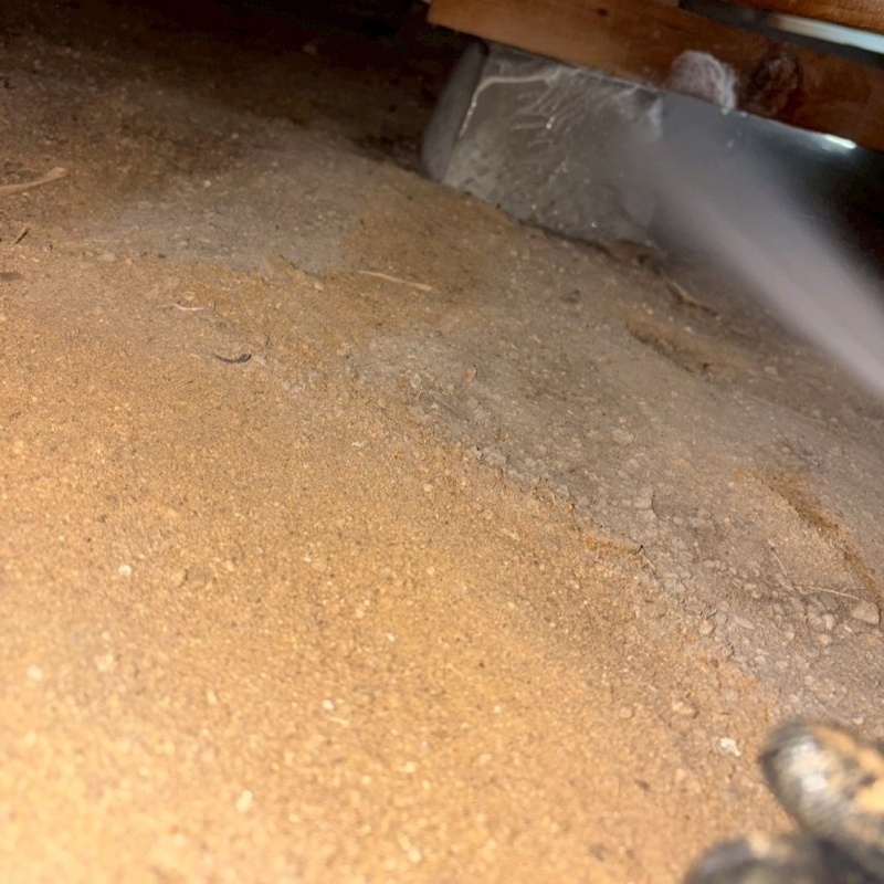 床下の基礎部分にシロアリ駆除剤を散布する様子