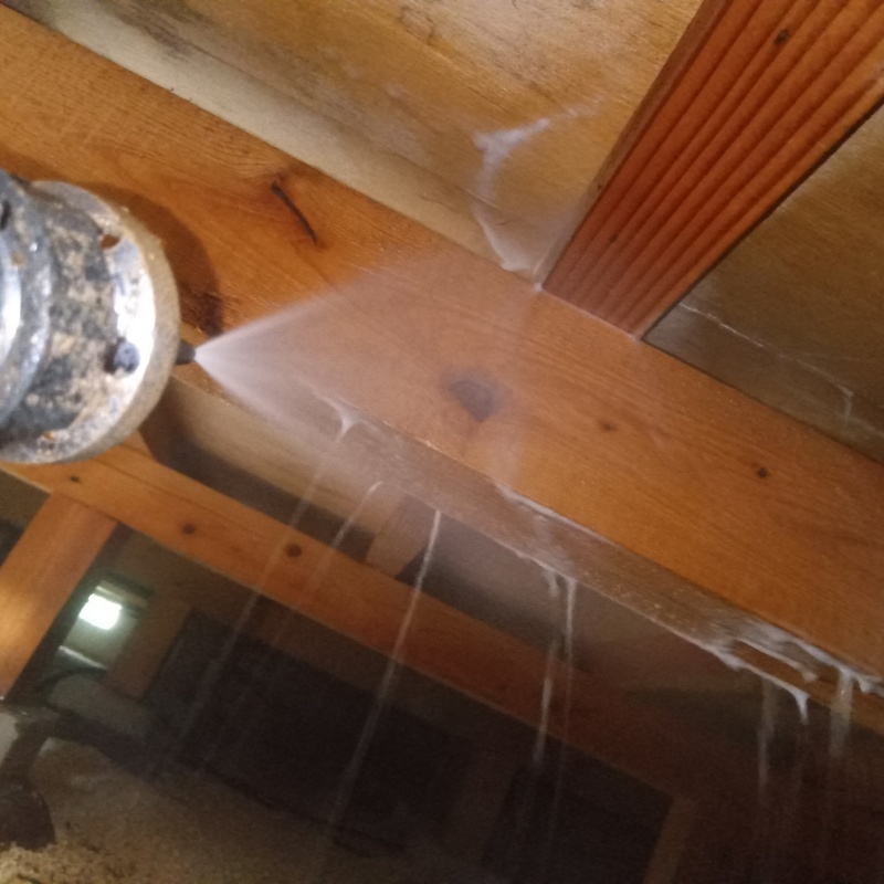 床下の木材に防蟻剤を散布する様子