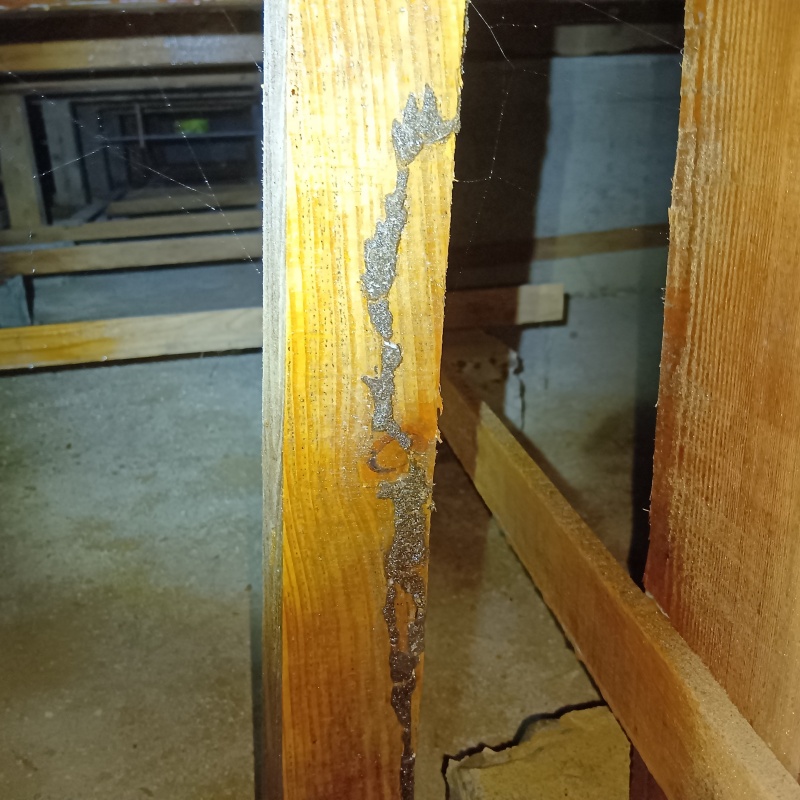 築年数40年のシロアリ駆除の施工事例（富山県砺波市庄川町三谷）