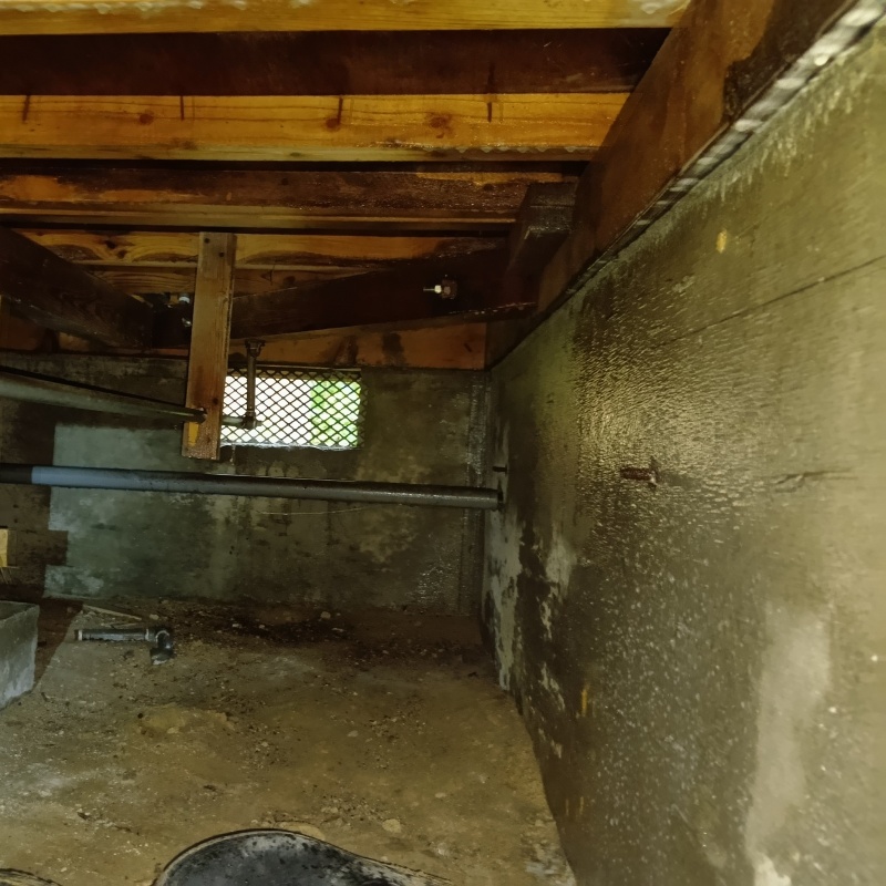 床下の基礎部分にシロアリ駆除剤を散布した様子