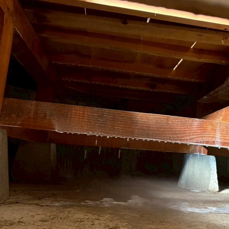 床下の木材に防蟻剤を散布した様子