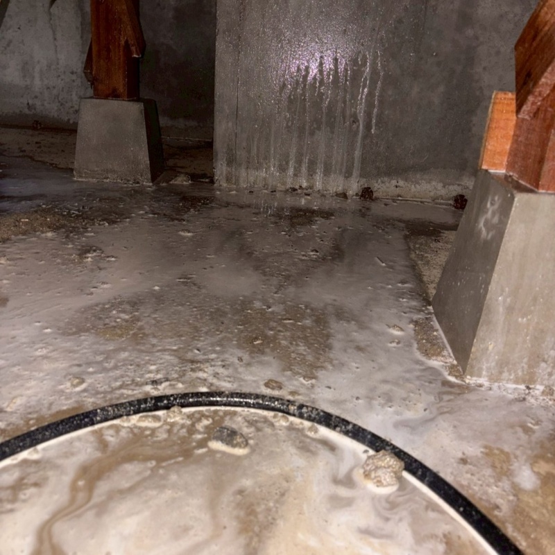 床下の土壌に防蟻剤を散布した様子