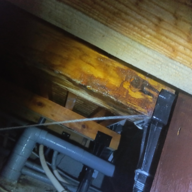 床下の木材にシロアリ駆除剤を散布する様子