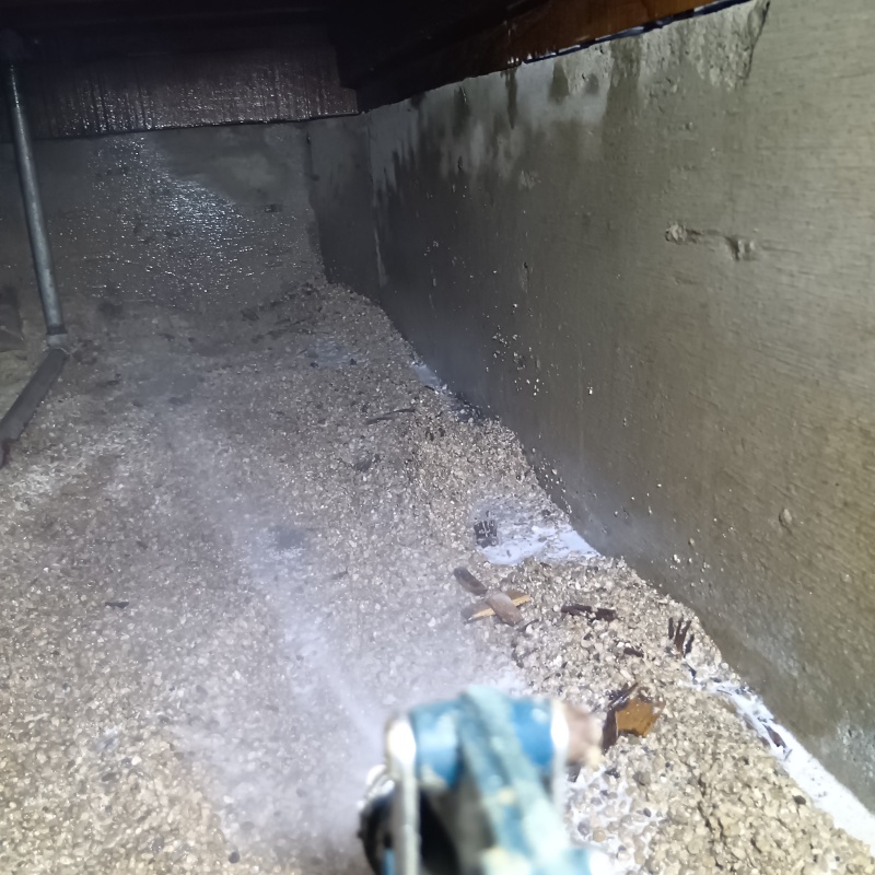 床下の土壌にシロアリ駆除剤を散布する様子