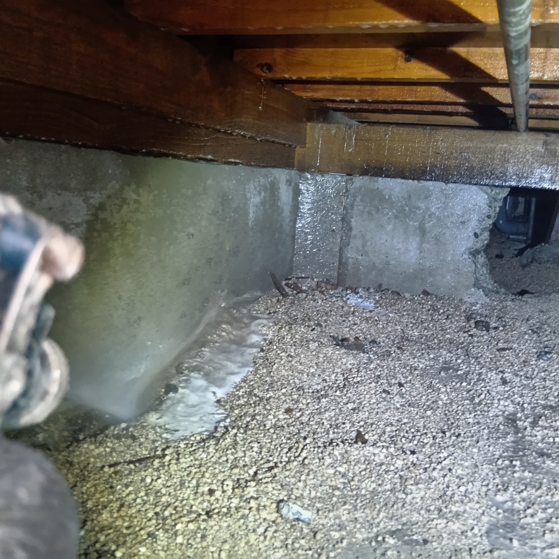 床下の基礎部分にシロアリ駆除剤を散布する様子