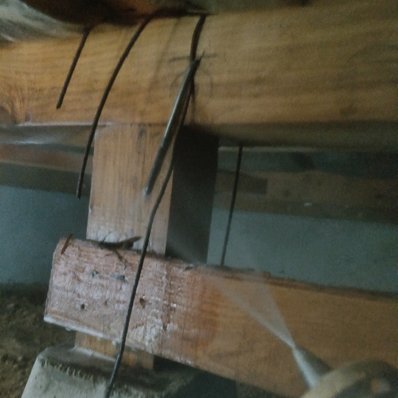 床下の木材に防蟻剤を散布する様子