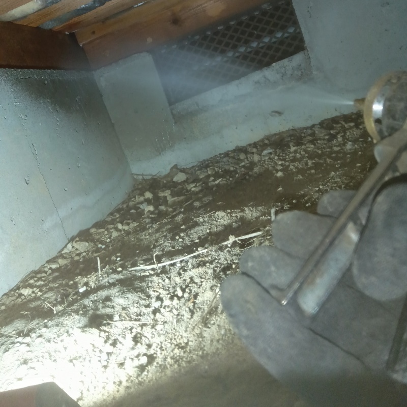 床下の基礎部分に防蟻剤を散布する様子