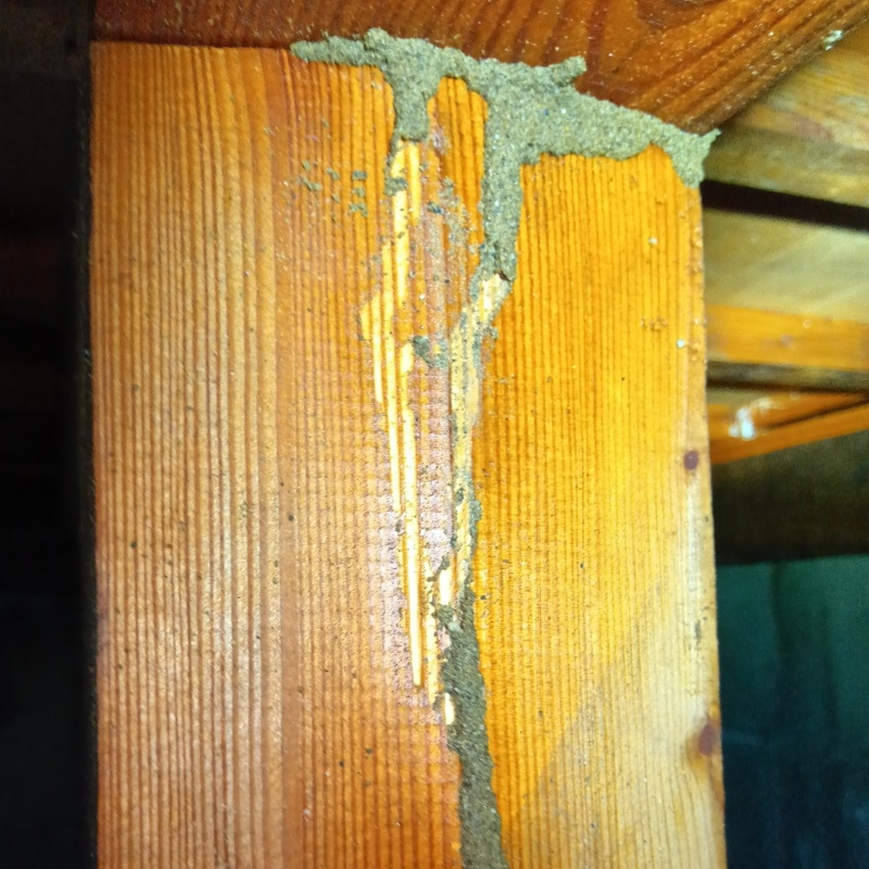 築年数42年のシロアリ駆除の施工事例（新潟県長岡市宮内）