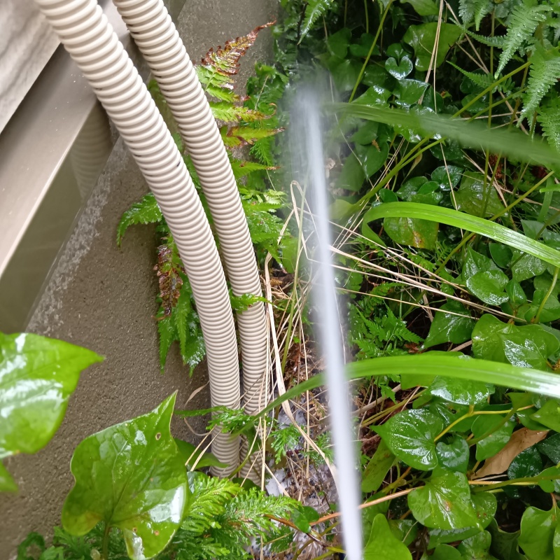 基礎周りにシロアリ駆除剤を散布する様子