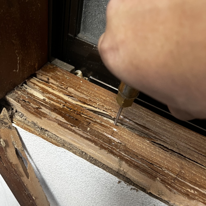 築年数40年のシロアリ駆除の施工事例（東京都足立区梅島）