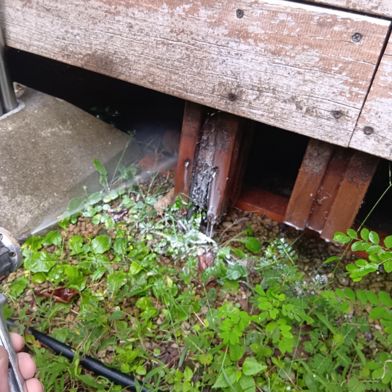 基礎周りにシロアリ駆除剤を散布する様子