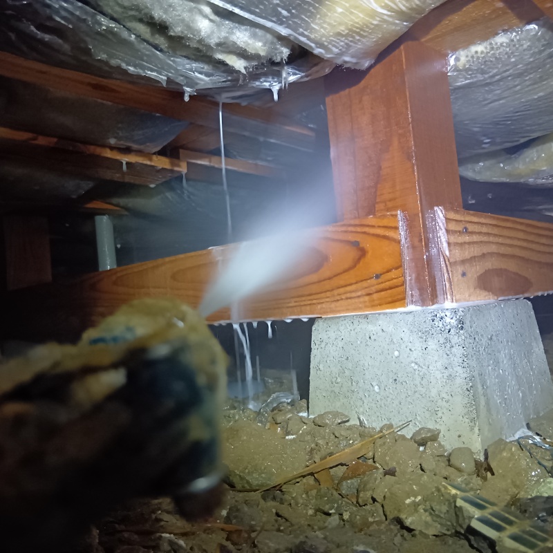 床下の木材にシロアリ駆除剤を散布する様子