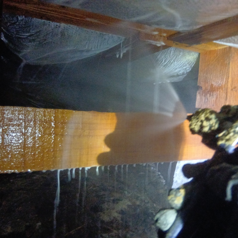 床下の木材と断熱材にシロアリ駆除剤を散布する様子