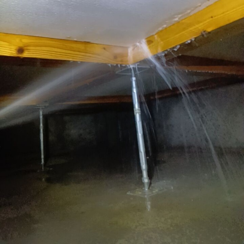 床下の木材に防蟻剤を散布する様子