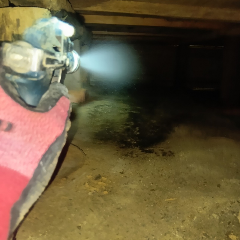 床下の土壌にシロアリ駆除剤を散布する様子