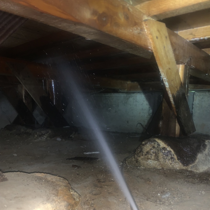 床下の木材にシロアリ駆除剤を散布する様子