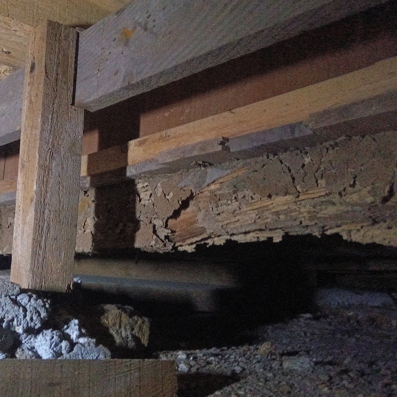 築年数50年のシロアリ駆除の施工事例（愛媛県西予市）