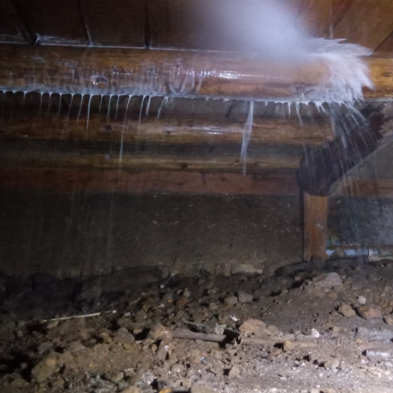 床下の木材にシロアリ駆除剤を散布する様子