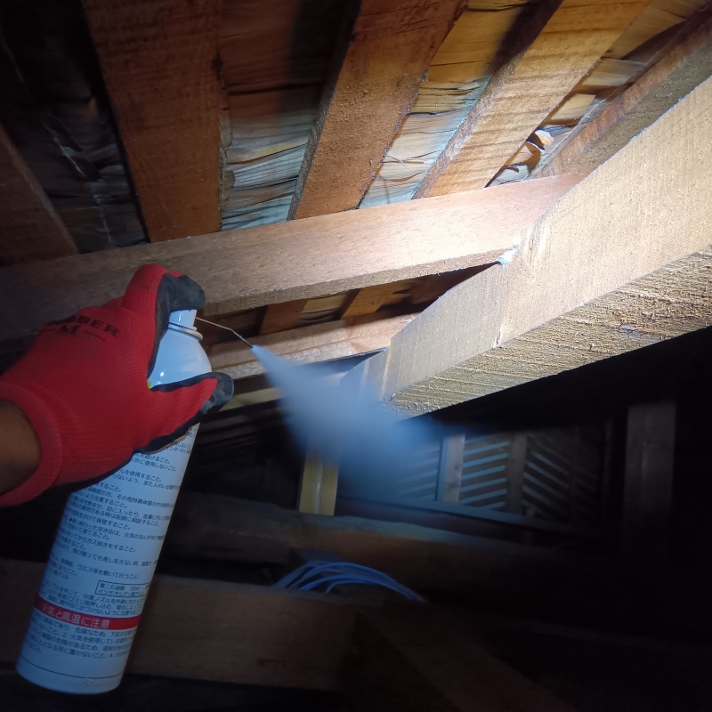 床下の木材にシロアリ駆除剤を散布する様子