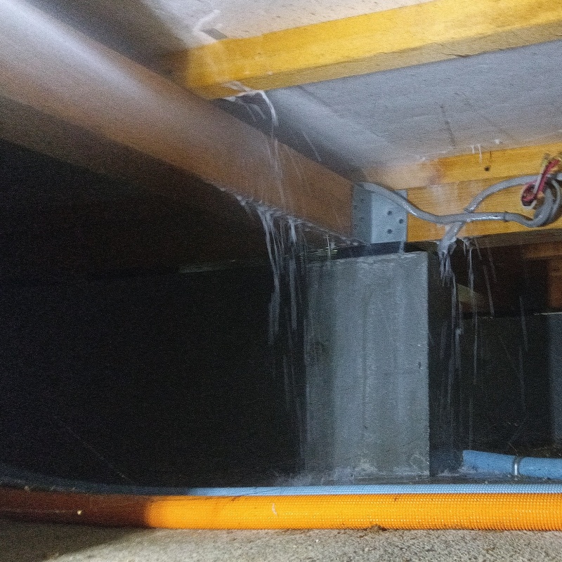 床下の木材に防蟻剤を散布する様子