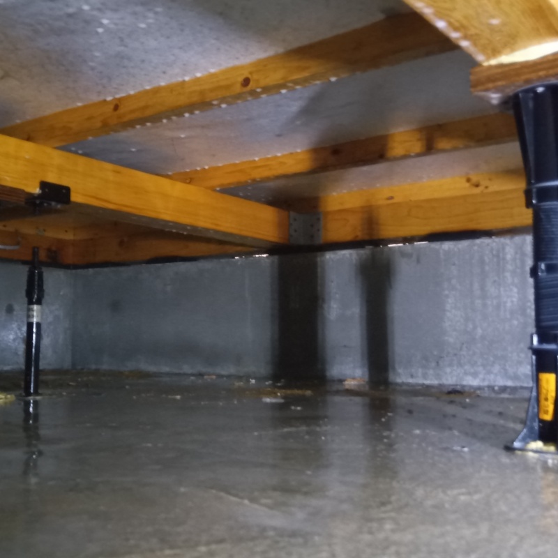 ベタ基礎の床下全体に防蟻剤を散布した様子