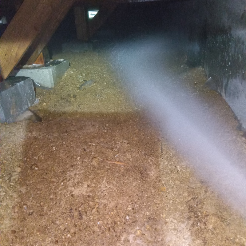 床下の土壌にシロアリ駆除剤を散布した様子