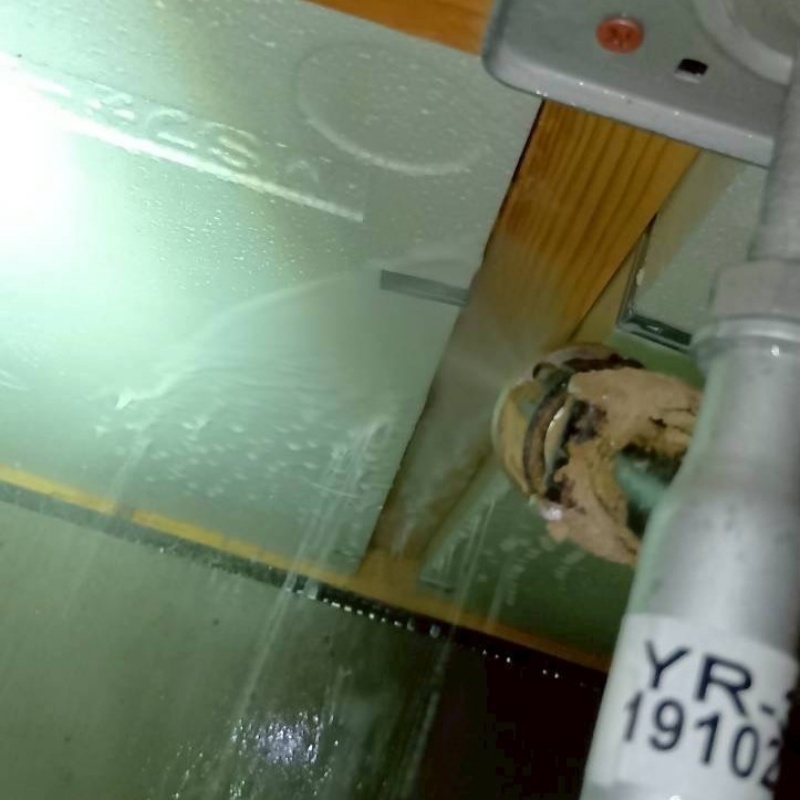 床下の木材に防蟻剤を散布する様子