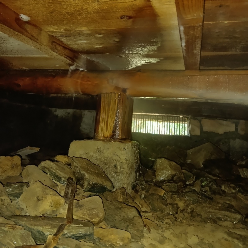 築年数25年のシロアリ駆除の施工事例（徳島県徳島市北矢三町）