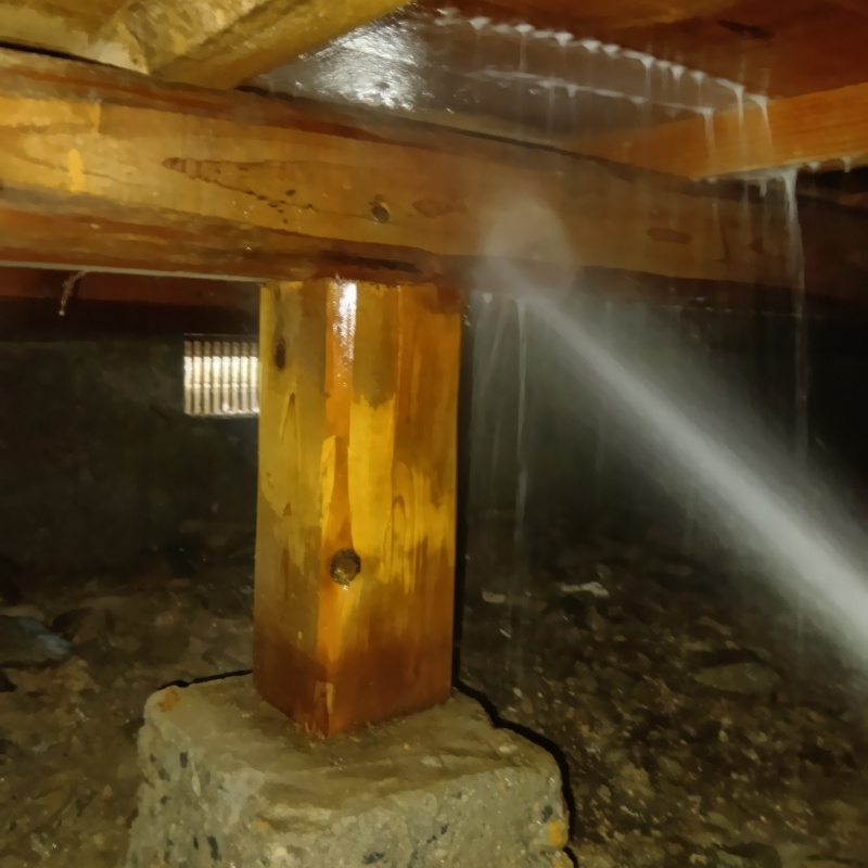 床下の木材にシロアリ駆除剤を散布する様子