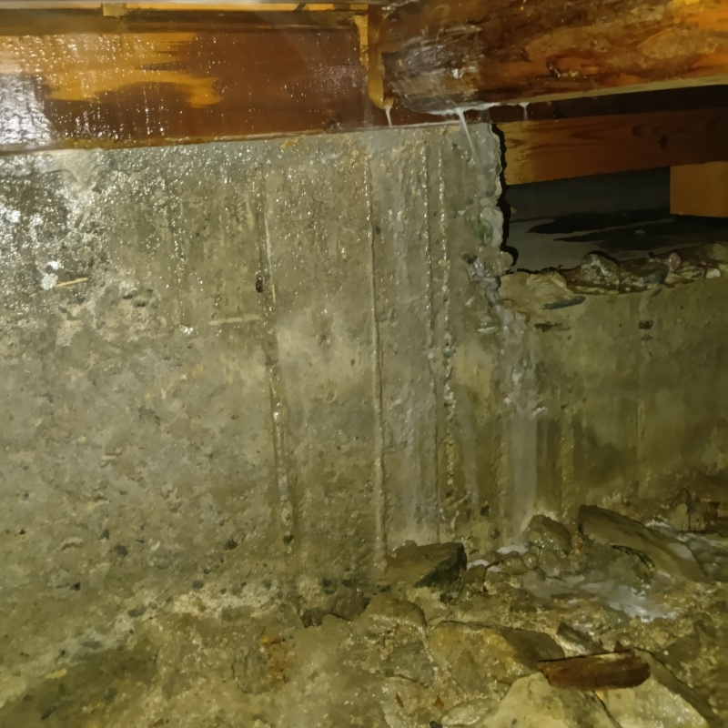 床下の基礎部分にシロアリ駆除剤を散布した様子