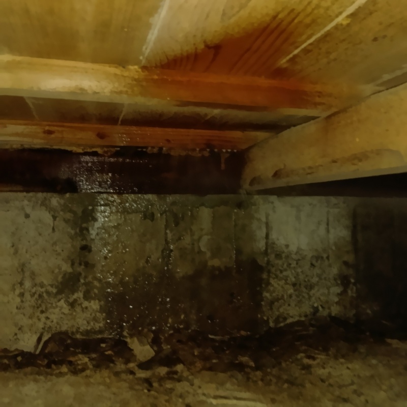 床下の基礎部分にシロアリ駆除剤を散布した様子