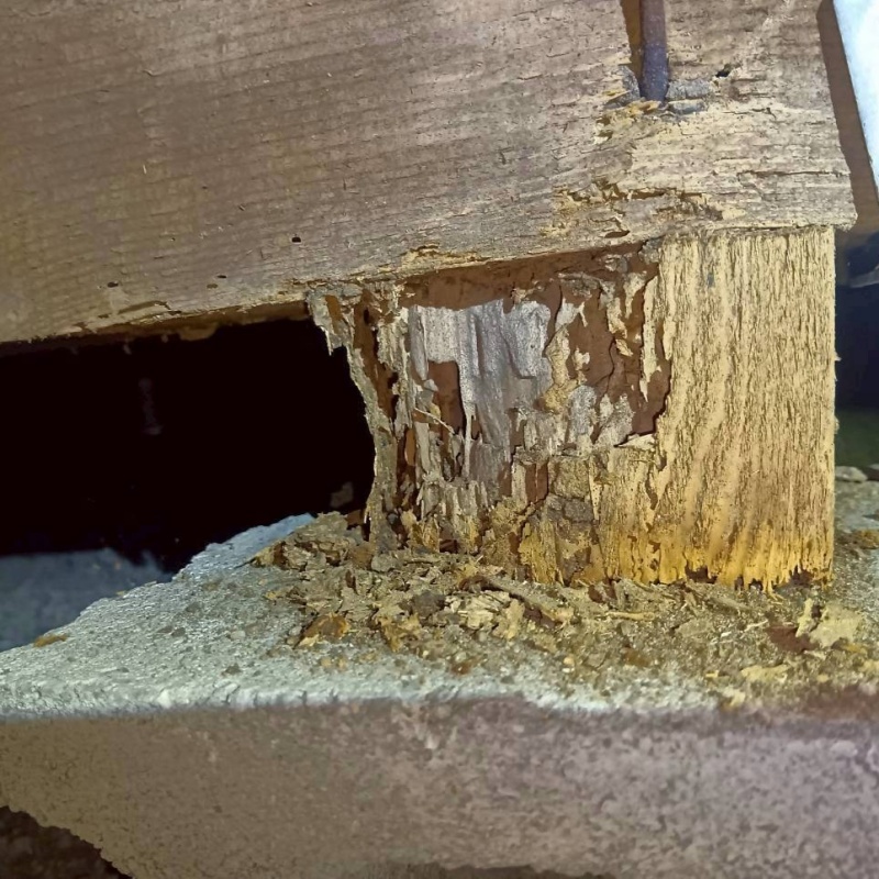築年数30年のシロアリ駆除の施工事例（滋賀県米原市）