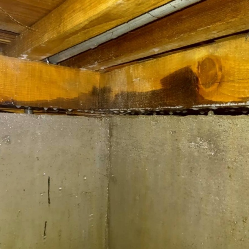 床下の基礎部分にシロアリ駆除剤を散布した様子