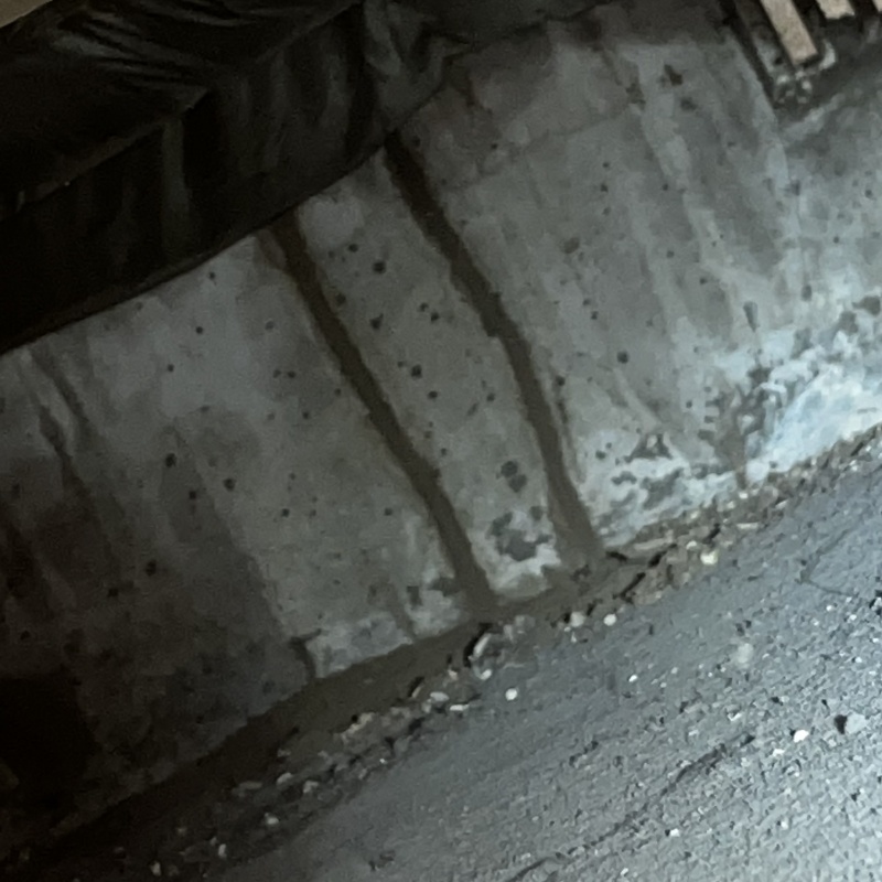 築年数33年のシロアリ駆除の施工事例（東京都世田谷区八幡山）