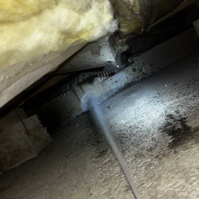 床下の基礎部分にシロアリ駆除剤を散布する様子
