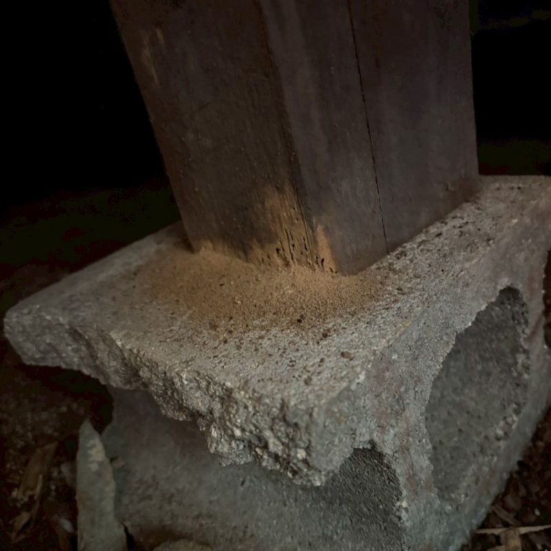 シロアリ駆除の施工事例（山口県長門市）