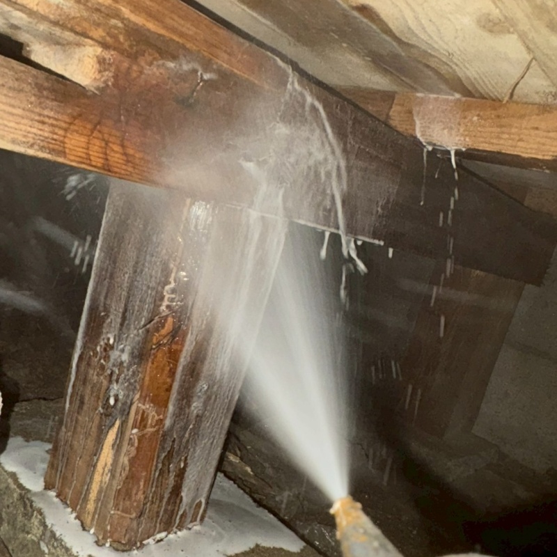 床下の木材にシロアリ駆除剤を散布する様子