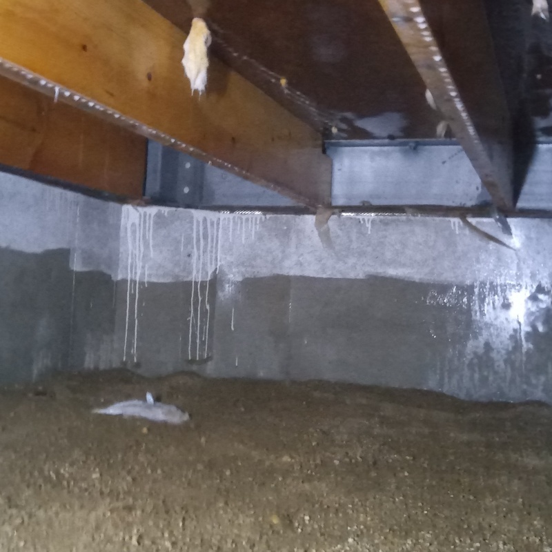 床下の基礎部分にシロアリ駆除剤を散布する様子