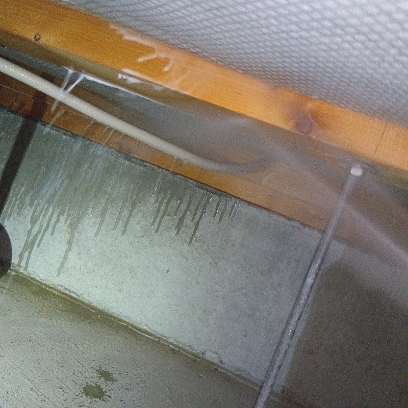 床下の木材に防蟻剤を散布する様子