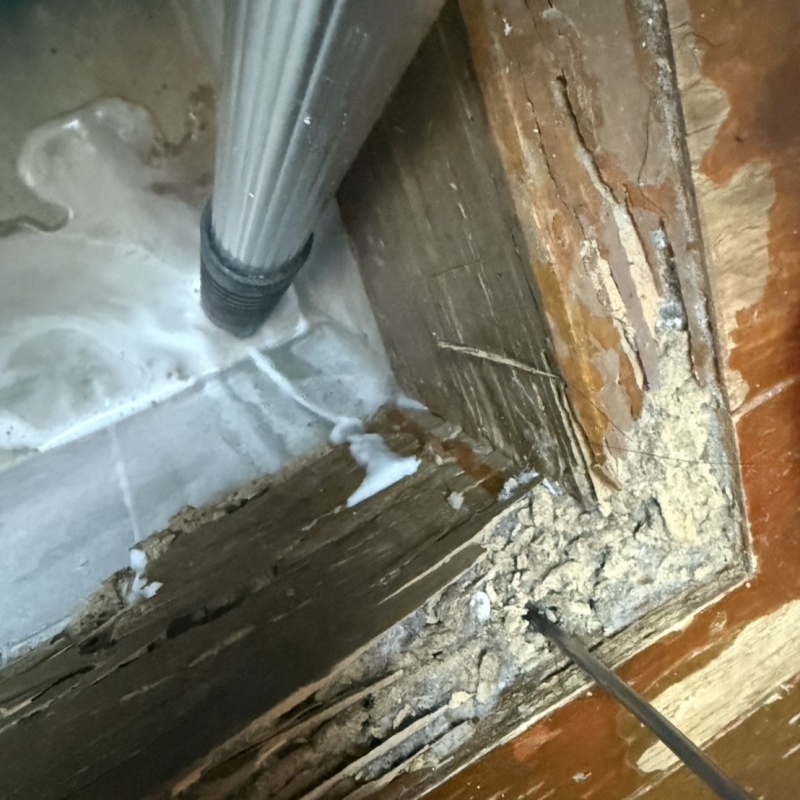 シロアリ駆除の施工事例（滋賀県近江八幡市古川町）