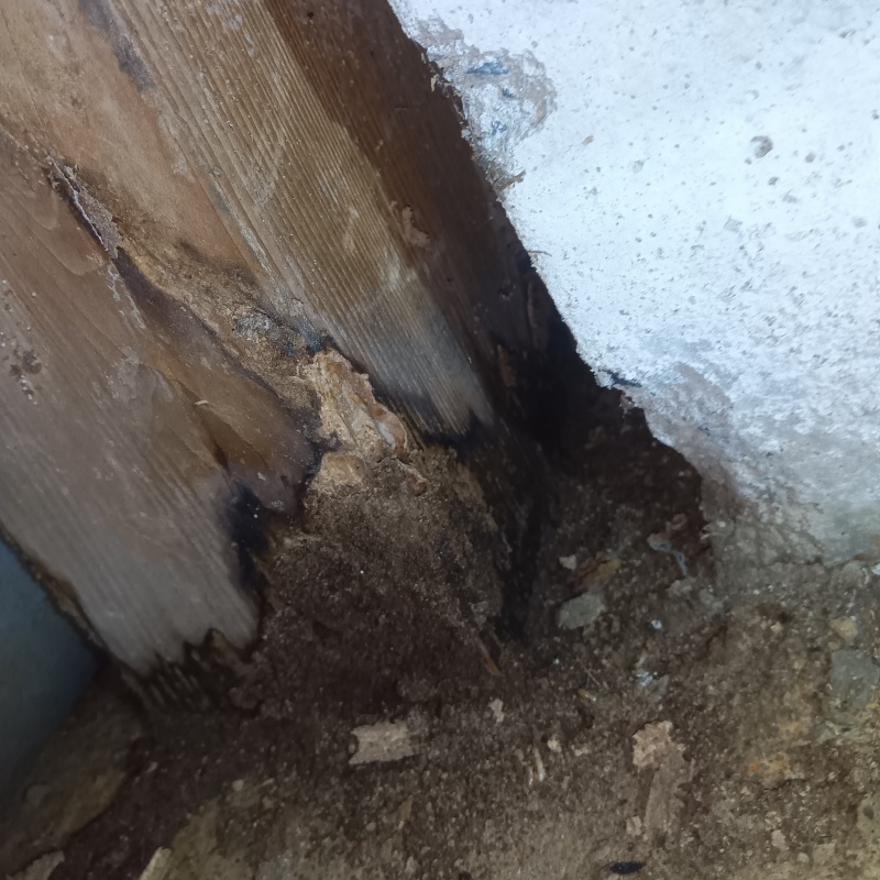 築年数38年のシロアリ駆除の施工事例（東京都町田市野津田町）