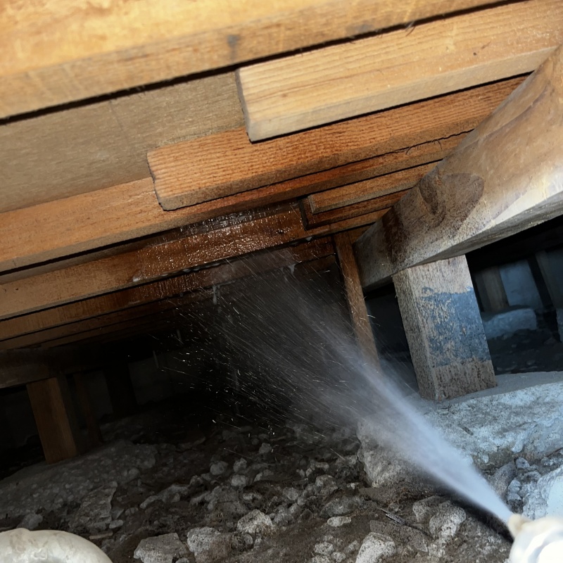 シロアリ駆除の施工事例（東京都調布市国領町）