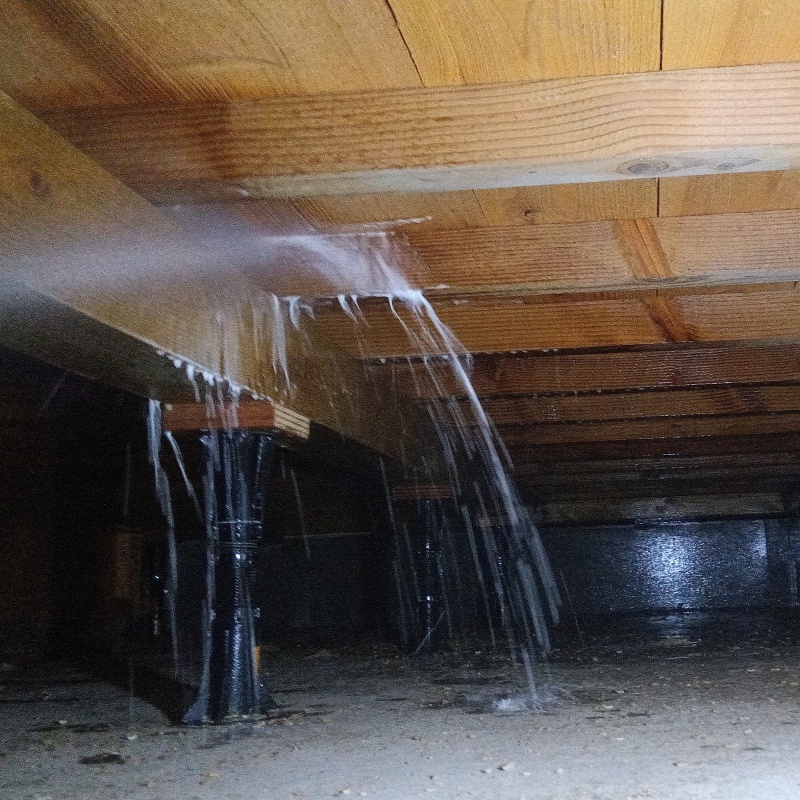 床下の木材に防蟻剤を散布する様子