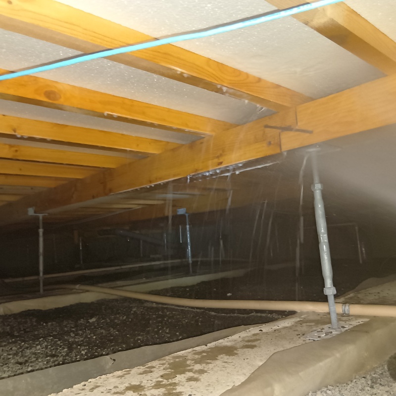 床下の木材にシロアリ駆除剤を散布する様子