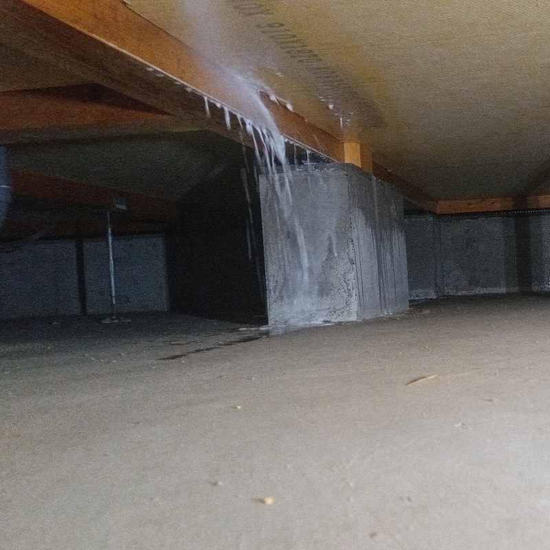 床下の木材にシロアリ駆除剤を散布する様子