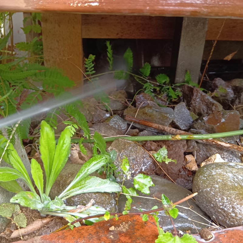 床下の土壌にシロアリ駆除剤を散布する様子