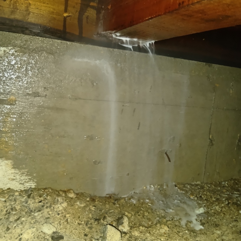 床下の基礎部分にシロアリ駆除剤を散布する様子