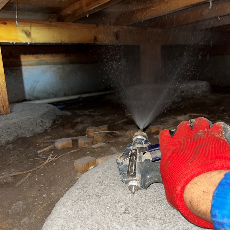 床下の木材にシロアリ駆除剤を散布